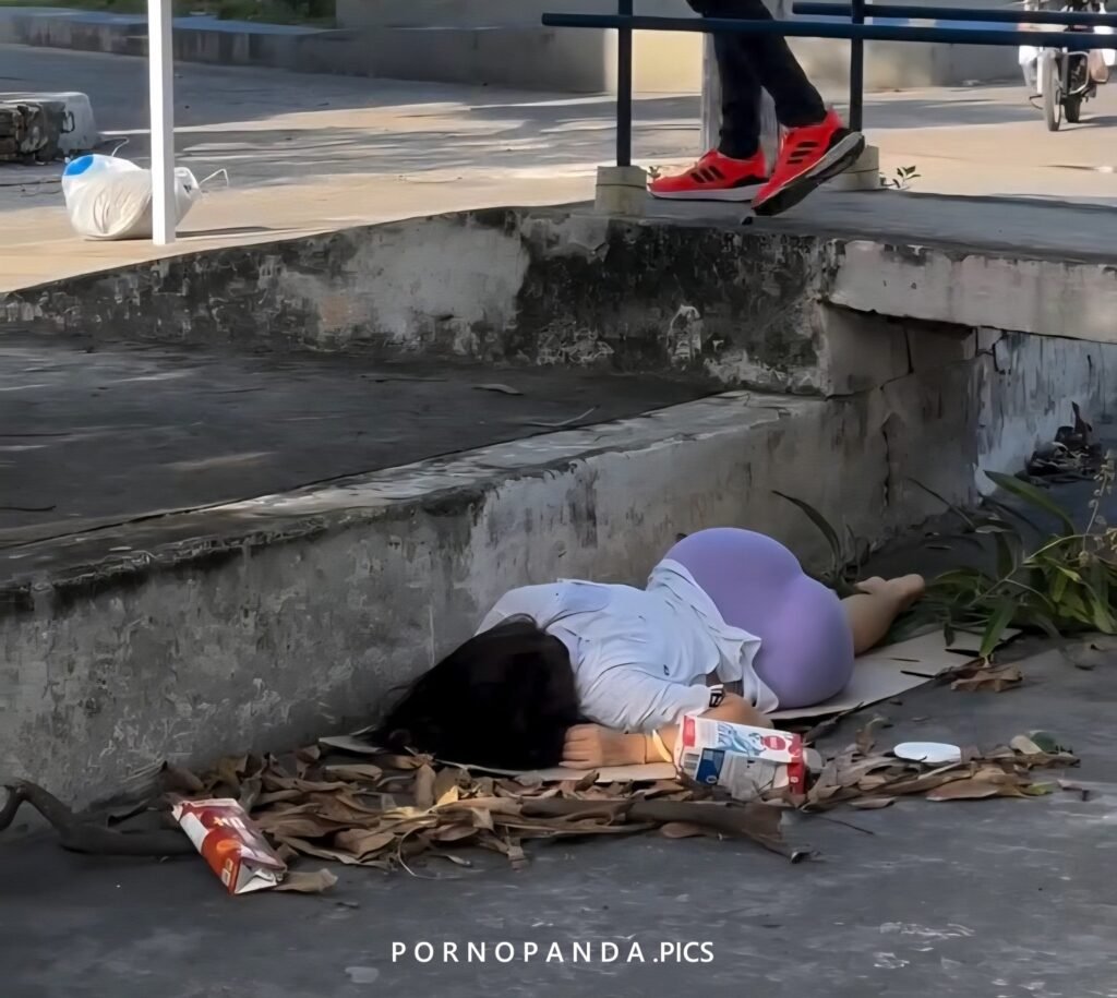 Funny Pics "No home, but plenty of dome"