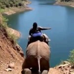 558673237_1729721744504648_3790226268915471795_n