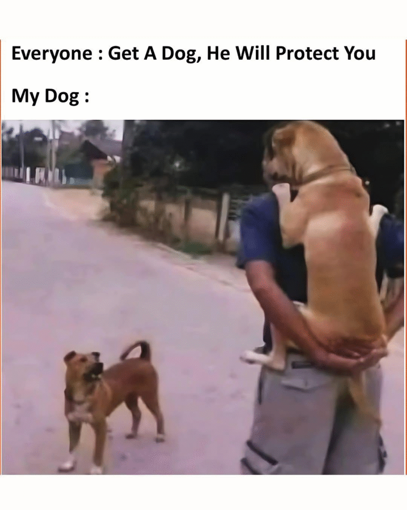 Porn Pics Dog Will Protect You